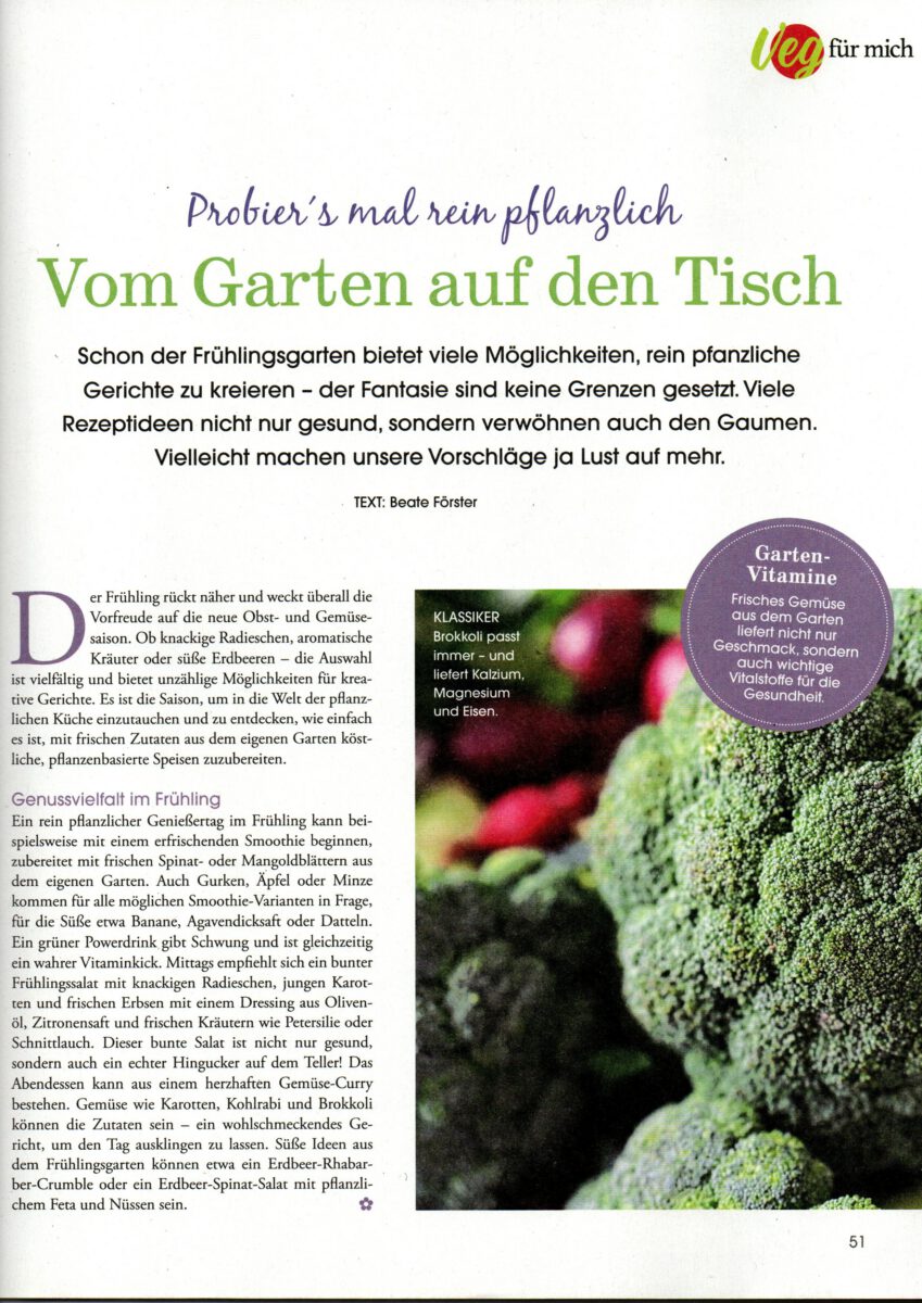 Magazinlayout mit Text und Illustrationen