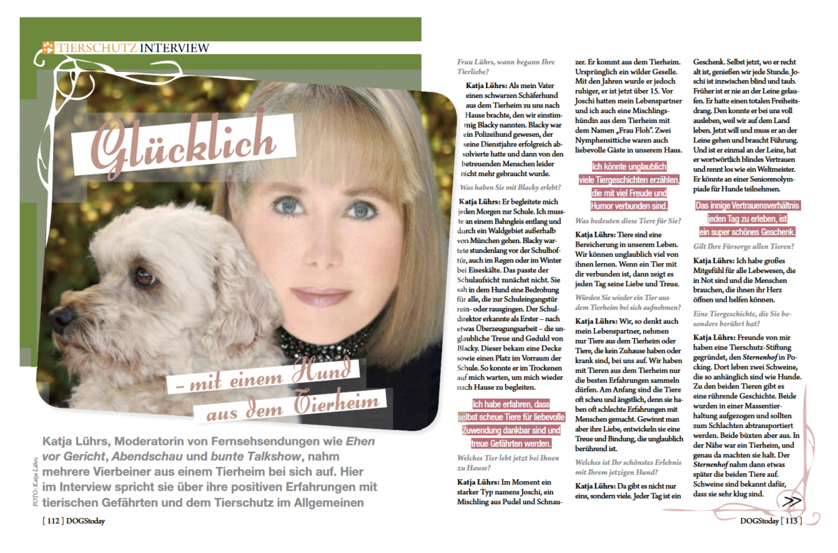 Magazinlayout mit Text und Illustrationen